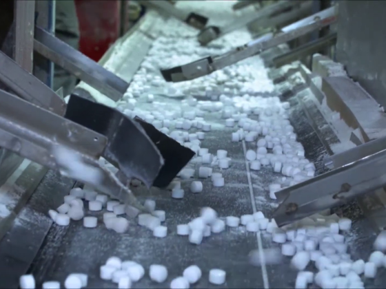 vlcsnap-2024-07-25-22h33m39s048